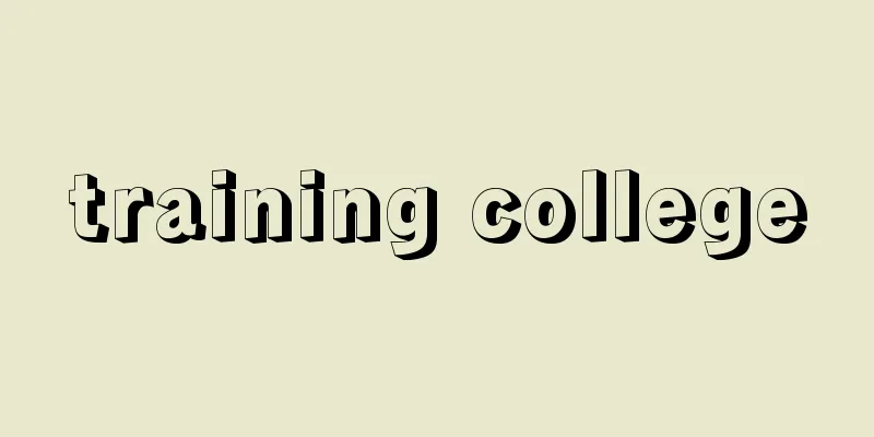 training college