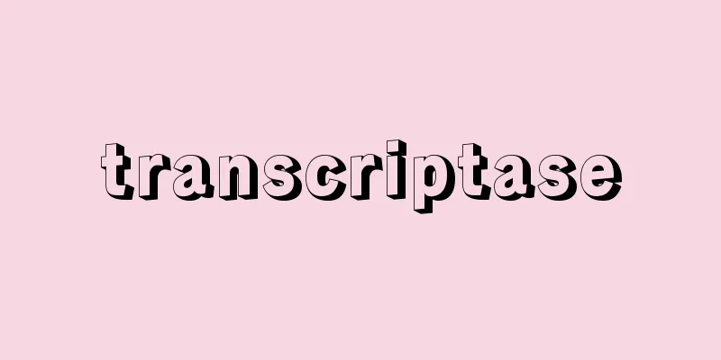 transcriptase