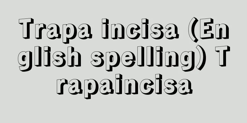 Trapa incisa (English spelling) Trapaincisa