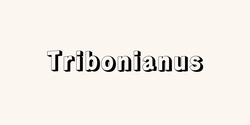 Tribonianus