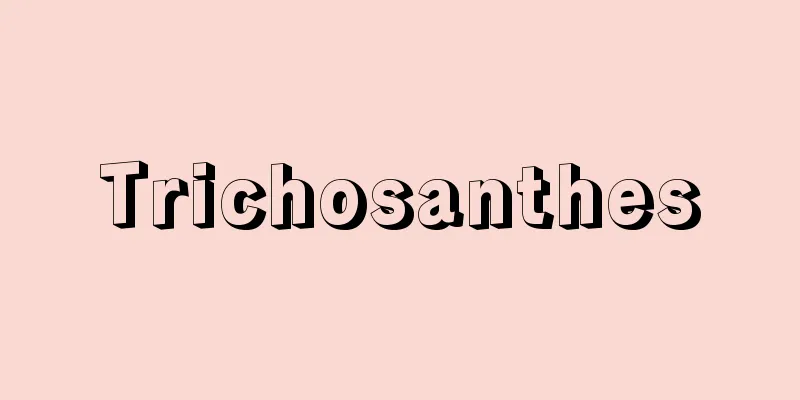 Trichosanthes