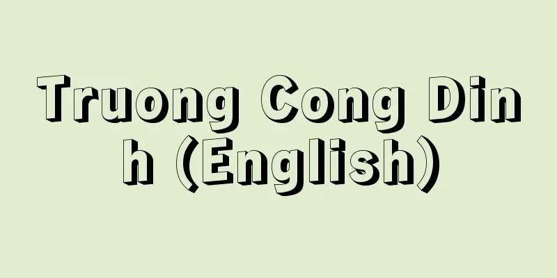 Truong Cong Dinh (English)