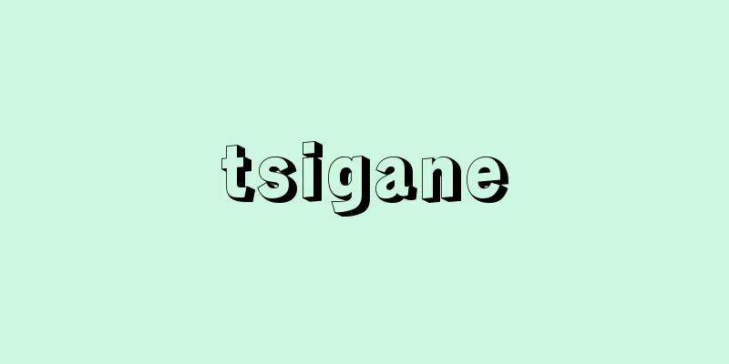 tsigane
