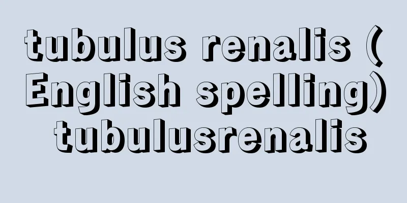 tubulus renalis (English spelling) tubulusrenalis