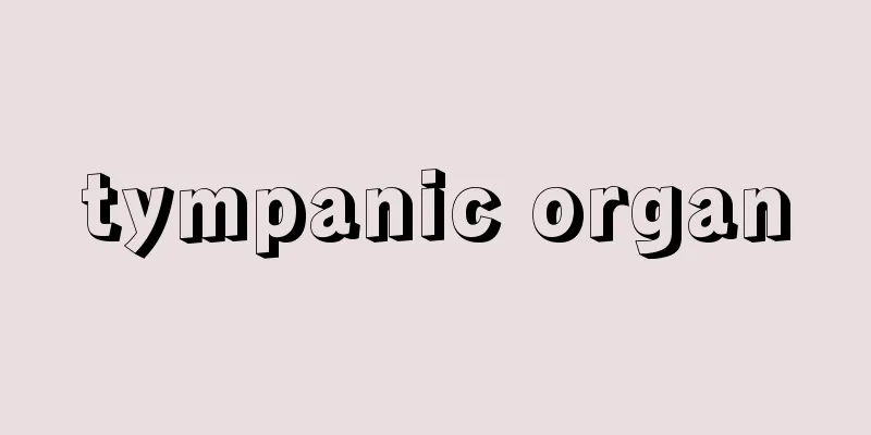 tympanic organ