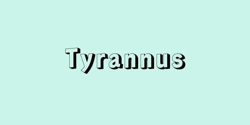 Tyrannus