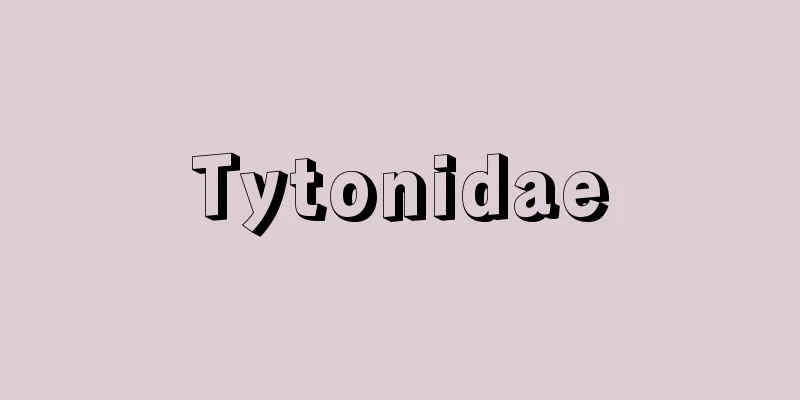 Tytonidae