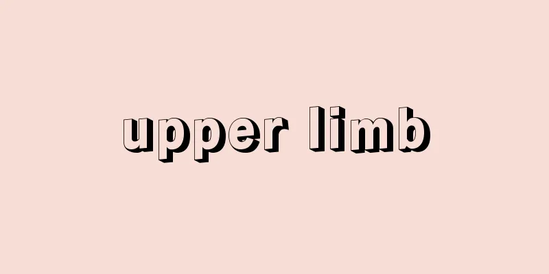 upper limb