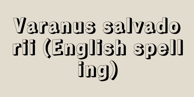 Varanus salvadorii (English spelling)