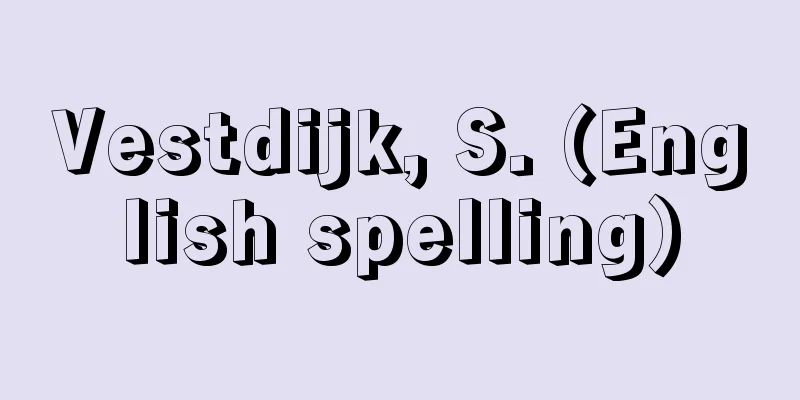 Vestdijk, S. (English spelling)