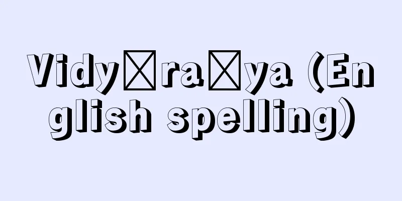 Vidyāraṇya (English spelling)