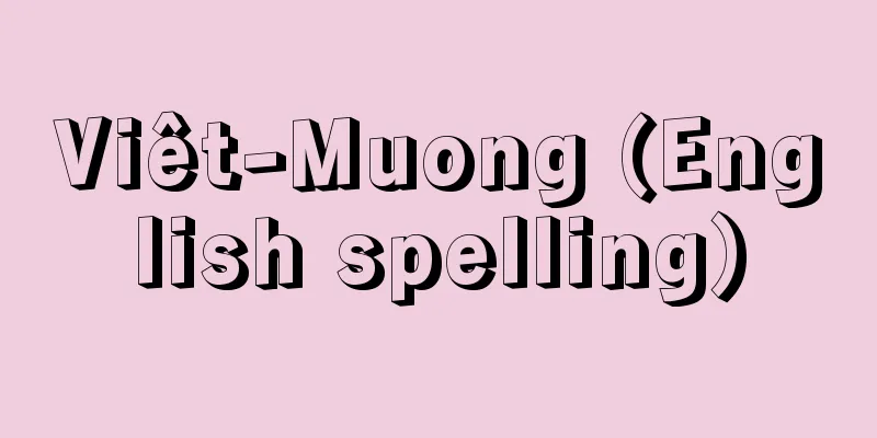 Viêt-Muong (English spelling)