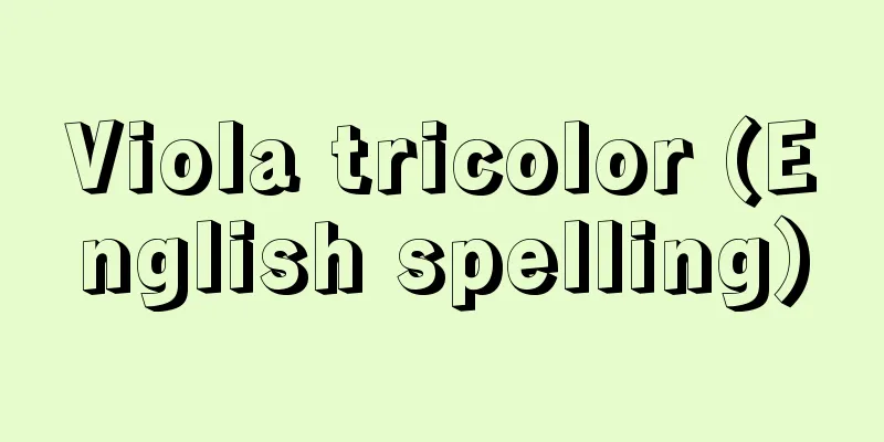 Viola tricolor (English spelling)
