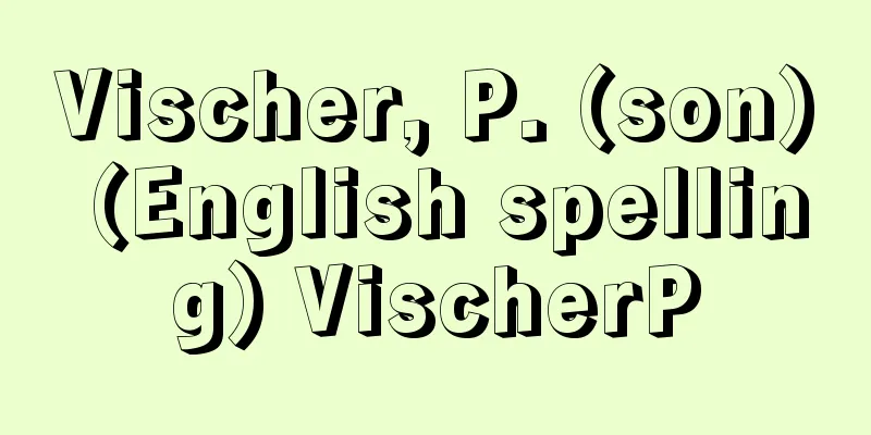 Vischer, P. (son) (English spelling) VischerP