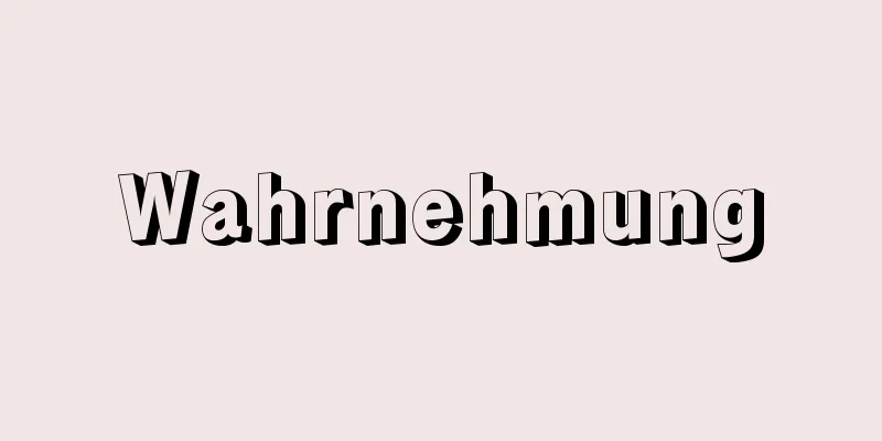Wahrnehmung
