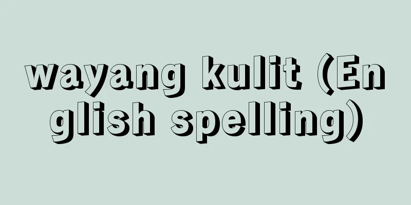 wayang kulit (English spelling)