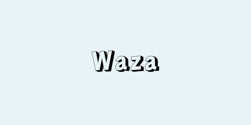 Waza