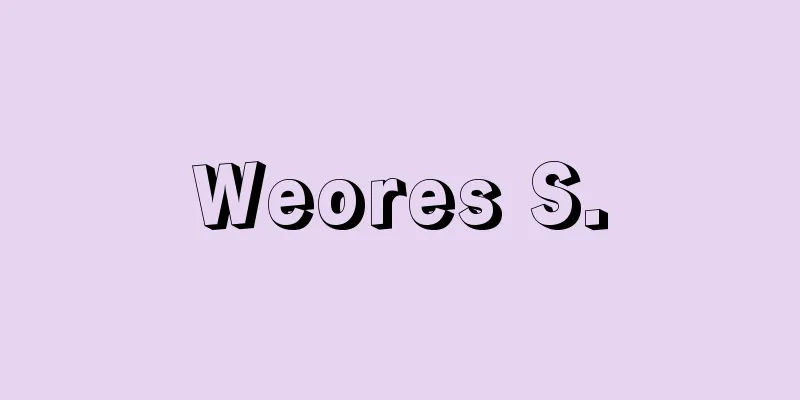 Weores S.