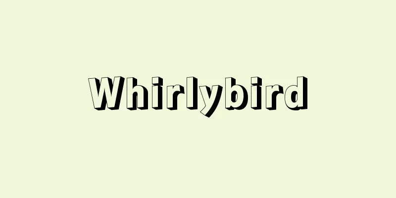 Whirlybird