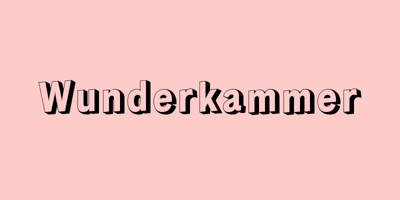 Wunderkammer