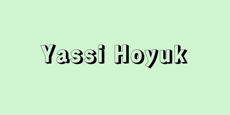 Yassi Hoyuk