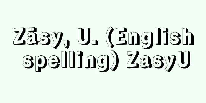 Zäsy, U. (English spelling) ZasyU