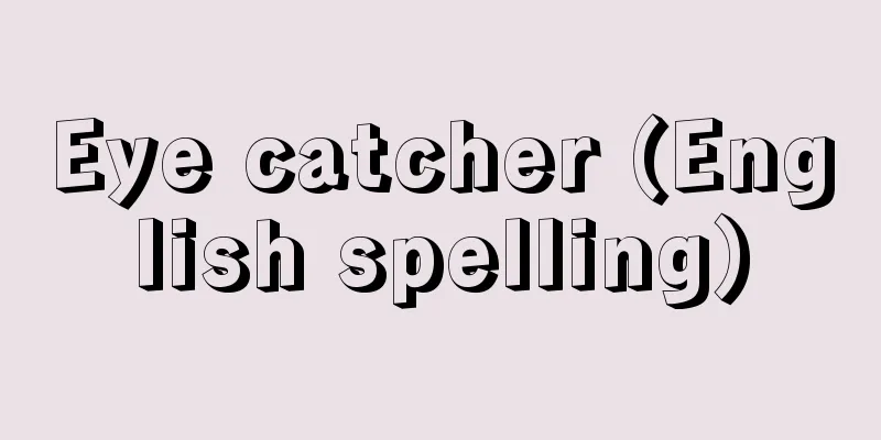 Eye catcher (English spelling)