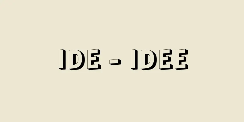 IDE - IDEE