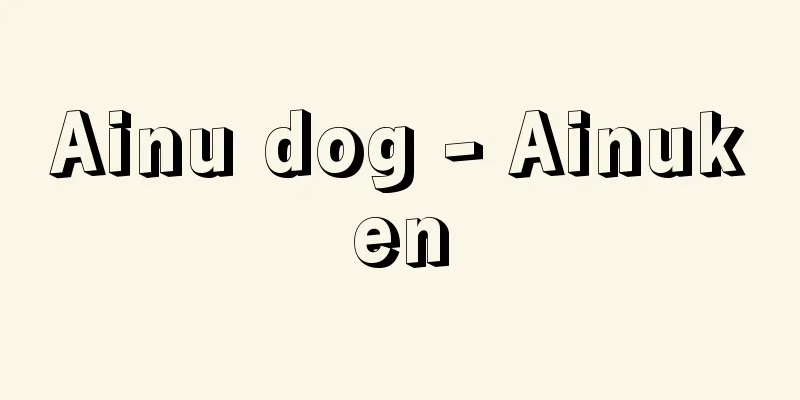 Ainu dog - Ainuken