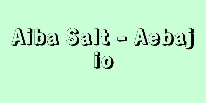 Aiba Salt - Aebajio