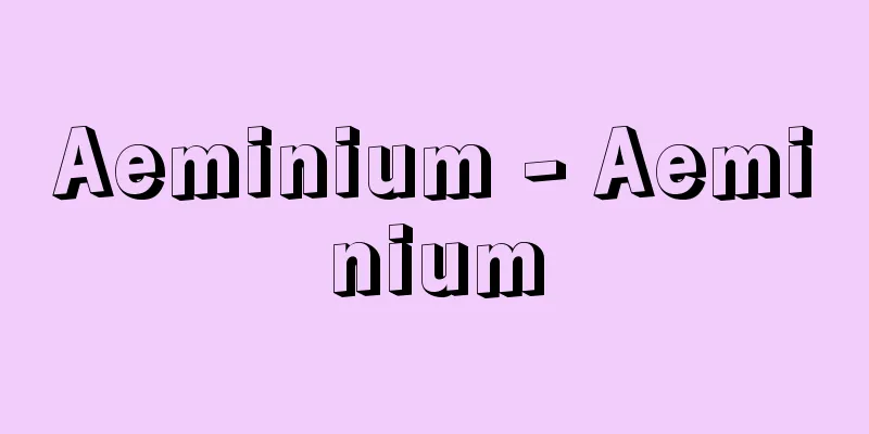 Aeminium - Aeminium
