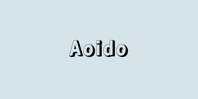 Aoido
