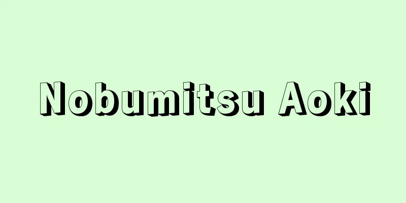 Nobumitsu Aoki