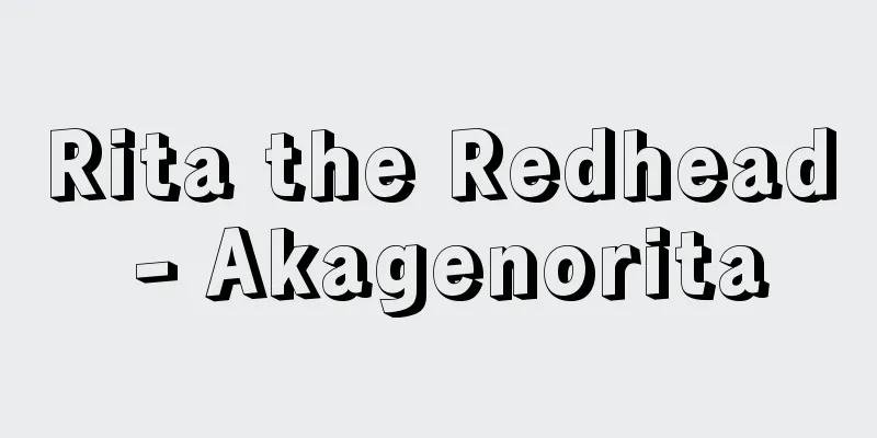 Rita the Redhead - Akagenorita