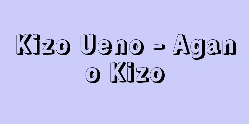 Kizo Ueno - Agano Kizo