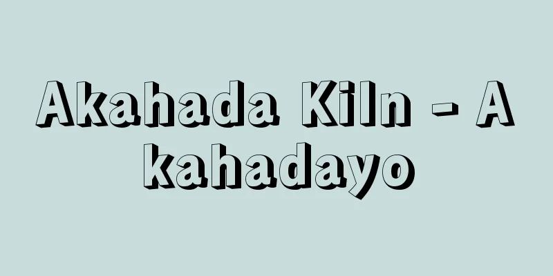 Akahada Kiln - Akahadayo