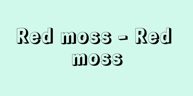 Red moss - Red moss