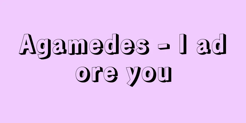Agamedes - I adore you