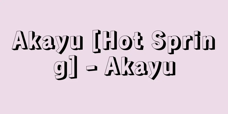 Akayu [Hot Spring] - Akayu