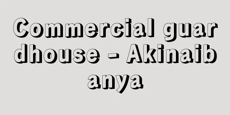 Commercial guardhouse - Akinaibanya