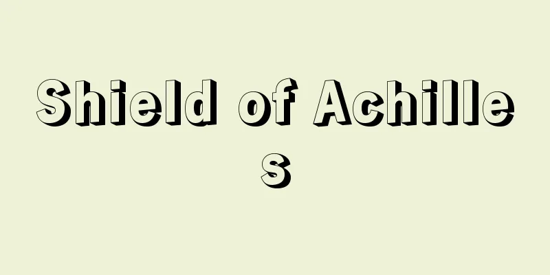 Shield of Achilles