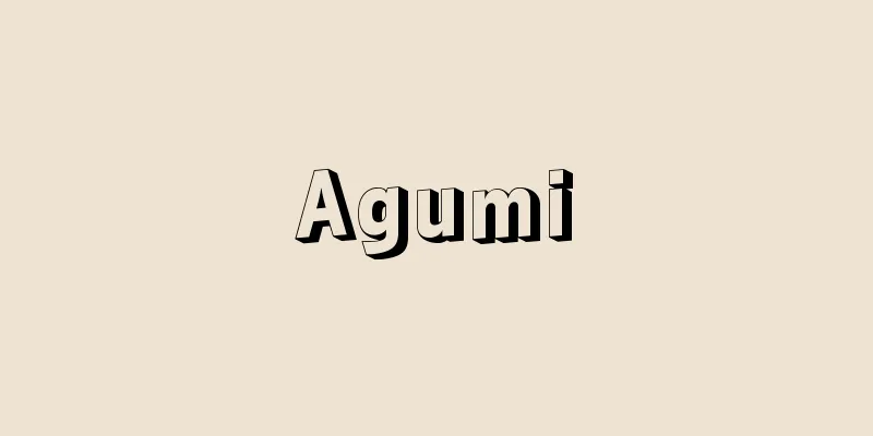 Agumi