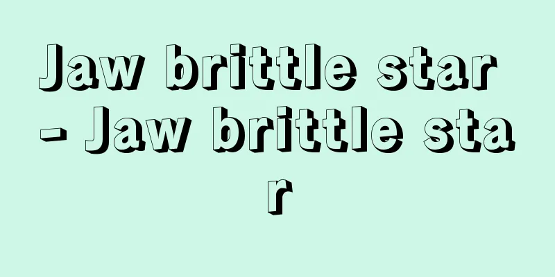 Jaw brittle star - Jaw brittle star