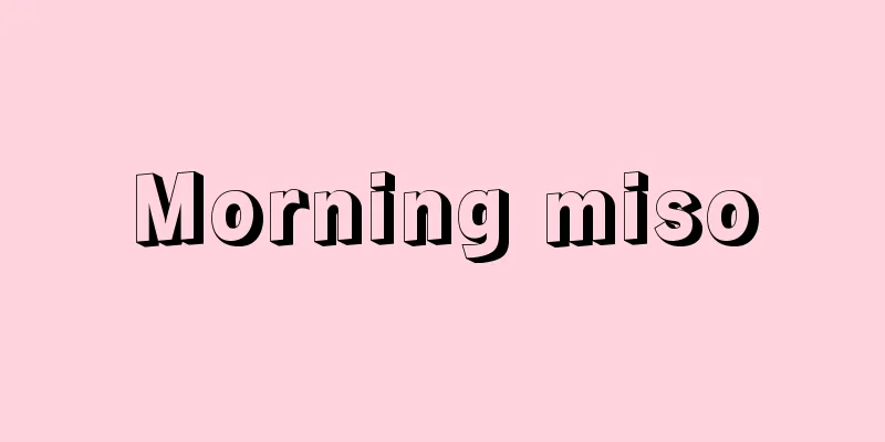 Morning miso