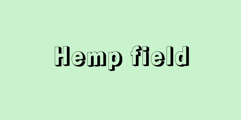Hemp field
