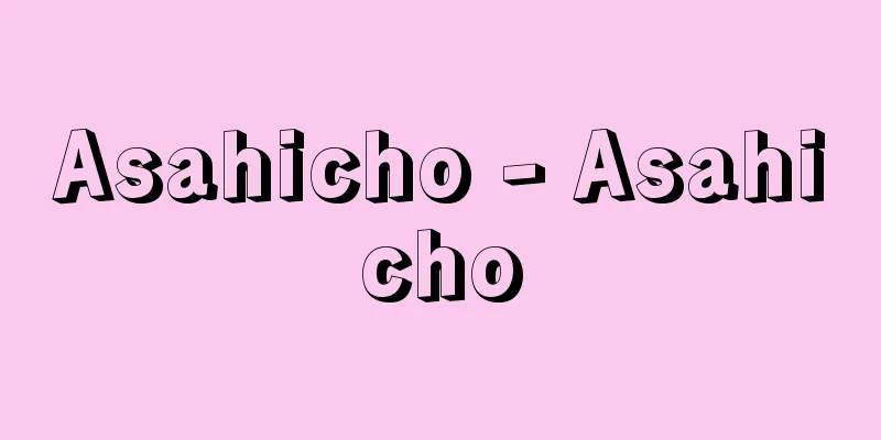 Asahicho - Asahicho