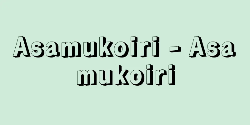 Asamukoiri - Asamukoiri