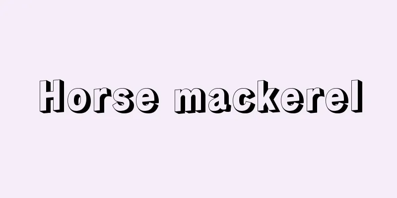 Horse mackerel
