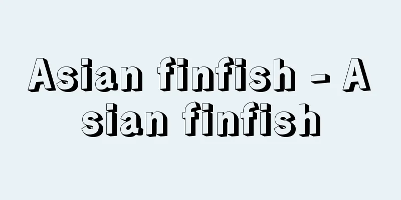 Asian finfish - Asian finfish