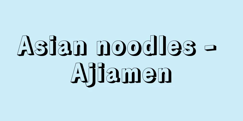 Asian noodles - Ajiamen